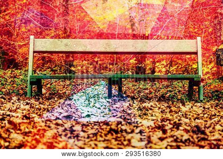 Chair In Park Under Leaves With Lens Flare Effect. Vintage Tone. Shallow Depth Of Field.