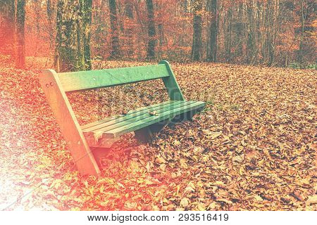 Chair In Park Under Leaves With Lens Flare Effect. Vintage Tone. Shallow Depth Of Field.