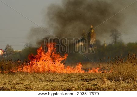 Coastal Zone Of Marsh Creek, Strong Smoke From Fire Of Liana Overgrowth. Spring Fires Of Dry Reeds D