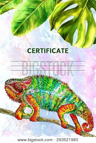 Certificate Design With Watercolor Painted Tropical Leaves. Vertical Format. Illustration. Vertical,