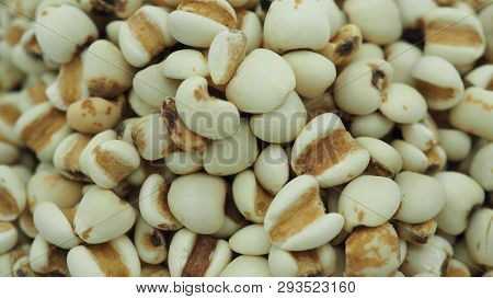 Job's Tears, Also Known As Adlay And Coix On White Background. Popular In Asian Cultures As A Food S