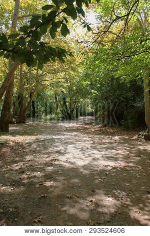 Agios Nikolaos Park Naousa Greece Europe