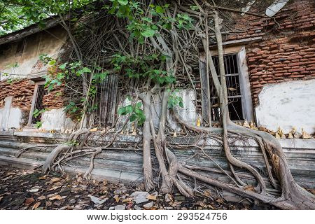 Dilapidated Church In Wat Rat Bamrung (wat Ngon Kai) - Samut Sakhon, Thailand