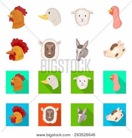 Vector Design Of Agriculture And Breeding Icon. Collection Of Agriculture And Organic  Vector Icon F