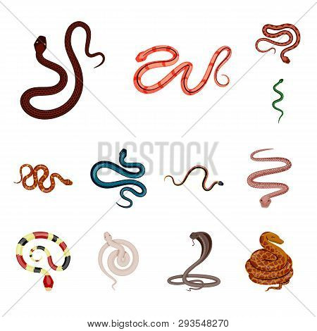 Vector Illustration Of Poison And Evil Symbol. Collection Of Poison And Bite Vector Icon For Stock.