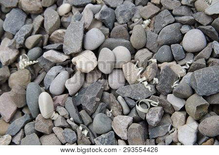 Grey Texture Of Sea Stones And Shaving