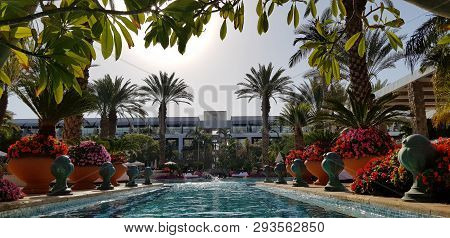View From Big Blue Outdoor Pool On Luxury Hotel Building With Exotic Flowers Garden And Palm Trees