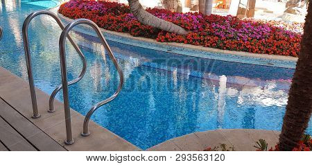 Entrance To A Blue Outdoor Pool Surrounded By Palm Trees And Exotic Flowers