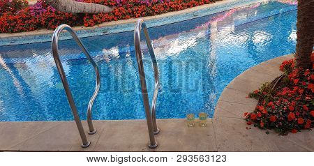 Two Glasses Of White Vine Stand By The Swimming Pool Surrounded By Exotic Flowers And Palm Trees