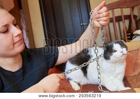 Violence Against Pets, The Owner Keeps Her Cat On The Chain
