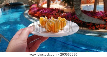 Female Hand Holding Small White Plate With Peeled Mandarin Slices Against Blue Outdoor Pool Surround
