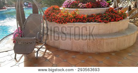 One Empty Rocking Chais Standing By The Pool In Exotic Hotel Under Palm Trees And Flower Garden
