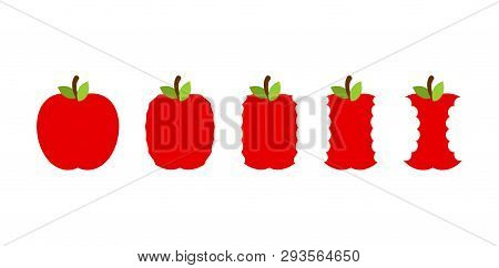 Stage Of Eating An Apple. Whole Fruit And Stub