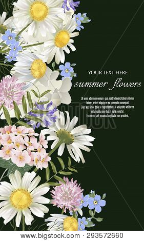 Vector Black Banner With Luxurious Wildflowers For Invitation, Sales, Packaging, Natural Cosmetics, 