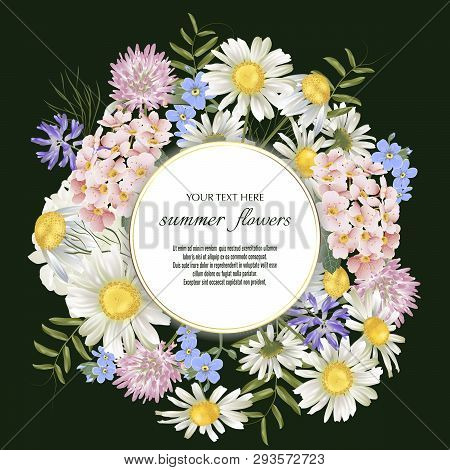 Vector Black Banner With Luxurious Wildflowers For Invitation, Sales, Packaging, Natural Cosmetics, 