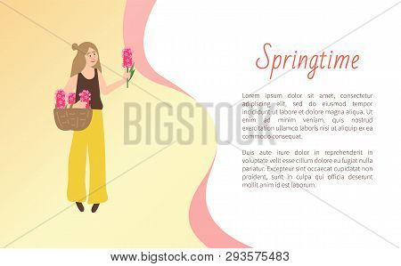 Woman Holding Basket Of Pink Flowers, Girl Full Length View With Blossom, Female In Casual Clothes I