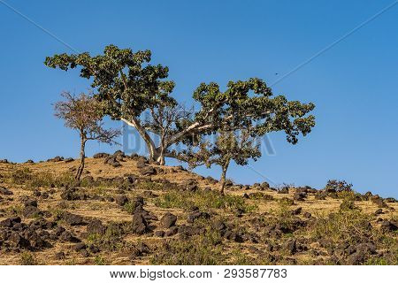 Landscape View Near The Blue Nile Falls, Tis-isat In Ethiopia, Africa