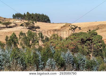 Landscape View Between Gondar And The Simien Mountains, Ethiopia, Africa