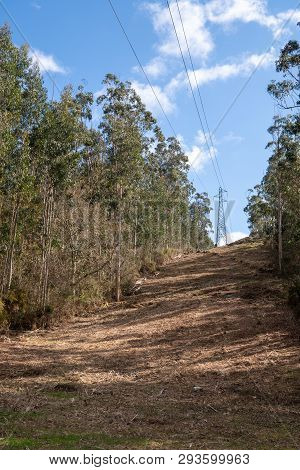 High Voltage Power Line In A Forest Against A Cloudy Sky Background
