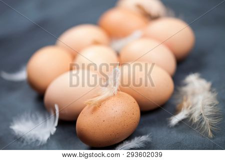 Farm chicken eggs and feathers closeup on black background. 