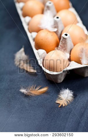 Farm chicken eggs in cardboard container and feathers closeup on black background. 