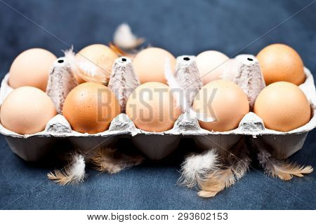 Farm chicken eggs in cardboard container and feathers closeup on black background. 