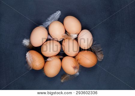 Organic farm chicken eggs and feathers closeup on black background. Top view.