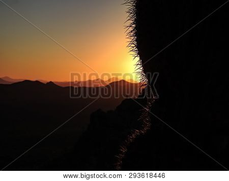 Orange Sunset With Obscured Mountains And Sunlight Highlighted Cactus Thorns