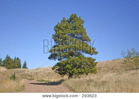 Crw_4395_rj