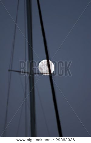 Luna attraverso l'albero