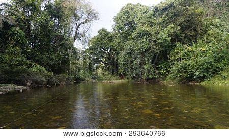 Rafting Tour On Sok River In Thailand