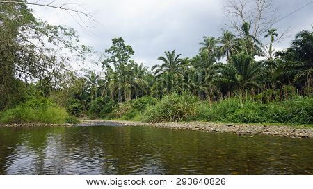 Rafting Tour On Sok River In Thailand