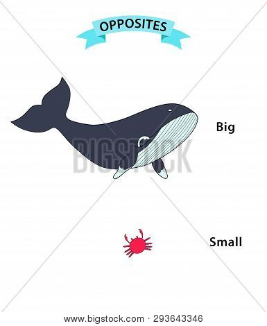 Wordcard For Big And Small Antonyms And Opposites. Cartoon Characters Illustration On White Backgrou