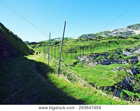 Alpine Peak Chäserrugg (chaserrugg Or Chaeserrugg) In The Alviergruppe Mountain Range - Canton Of St