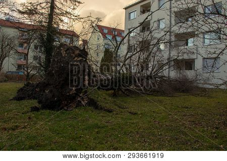 Uprooted Tree Fell On A House After A Serious Storm Named Eberhard