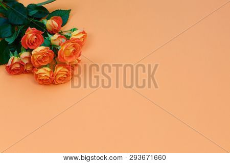 Background Of A Bouquet Of Beautiful Fresh Vivid Orange Roses Tinged With Red For Celebrating Valent