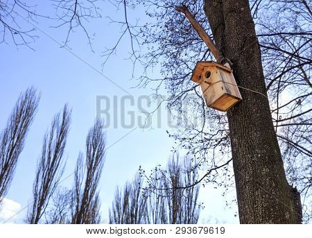 A New Nesting Box Hung High On An Oak Tree In A Spring Park