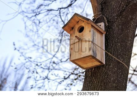 A New Birdhouse Is Attached By A Rope High On An Oak Tree In A Spring Park.