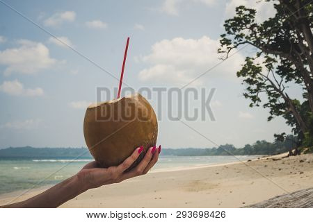 Fresh Coconut Cocktail In Han. Female Hand With Pink Nails Holding A Fresh Coconut With Coconut Milk