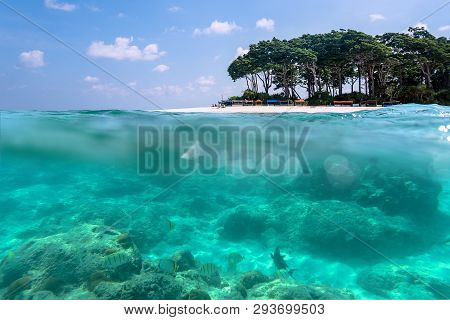 Over-under View Of A Tropical Beach With Lush Tropical Tree And Sunlight On Sandy Seabed Below Water