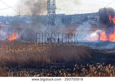 Raging Forest Spring Fires. Burning Dry Grass, Reed Along Lake. Grass Is Burning In Meadow. Ecologic