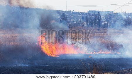 Raging Forest Spring Fires. Burning Dry Grass, Reed Along Lake. Grass Is Burning In Meadow. Ecologic