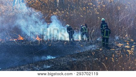 Raging Forest Spring Fires. Burning Dry Grass, Reed Along Lake. Grass Is Burning In Meadow. Ecologic