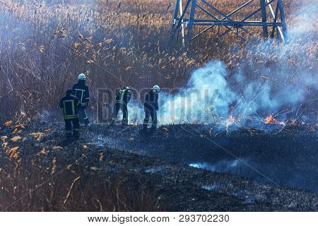 Raging Forest Spring Fires. Burning Dry Grass, Reed Along Lake. Grass Is Burning In Meadow. Ecologic