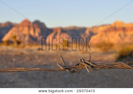Barbwire