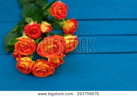 Background Of A Bouquet Of Beautiful Fresh Vivid Orange Roses Tinged With Red For Celebrating Valent