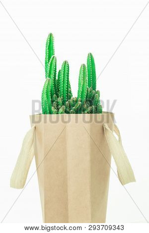 Cactus Fairy Castle In An Eco Paper Bag Isolaed On White. Environment Friendly Mock Up