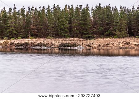 Conemara Lake With Pine Forest Around