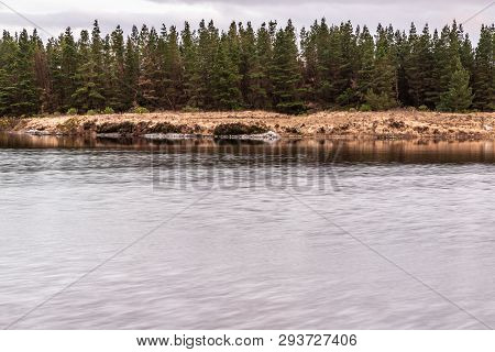 Conemara Lake With Pine Forest Around