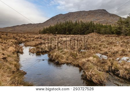 Conemara Lake And Forest With Mountains In Background